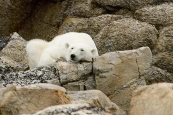 _DSC5090_edited-1